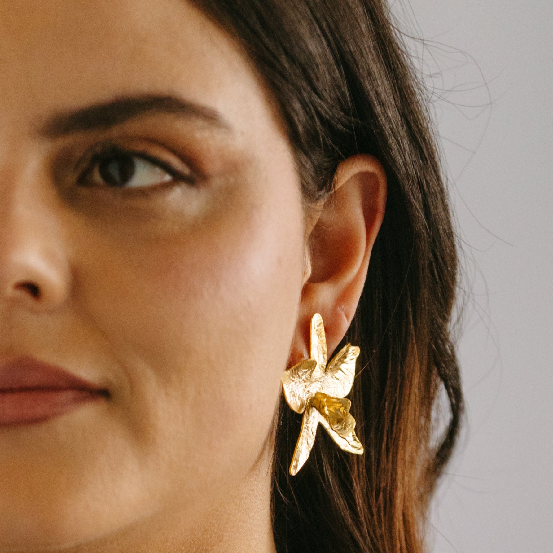 ORQUIDEA CAMBRIA MAXI