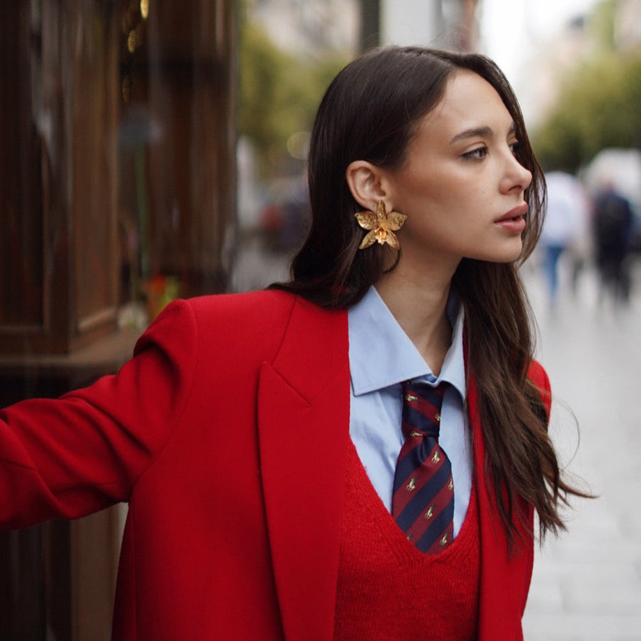 ORQUIDEA CAMBRIA MAXI