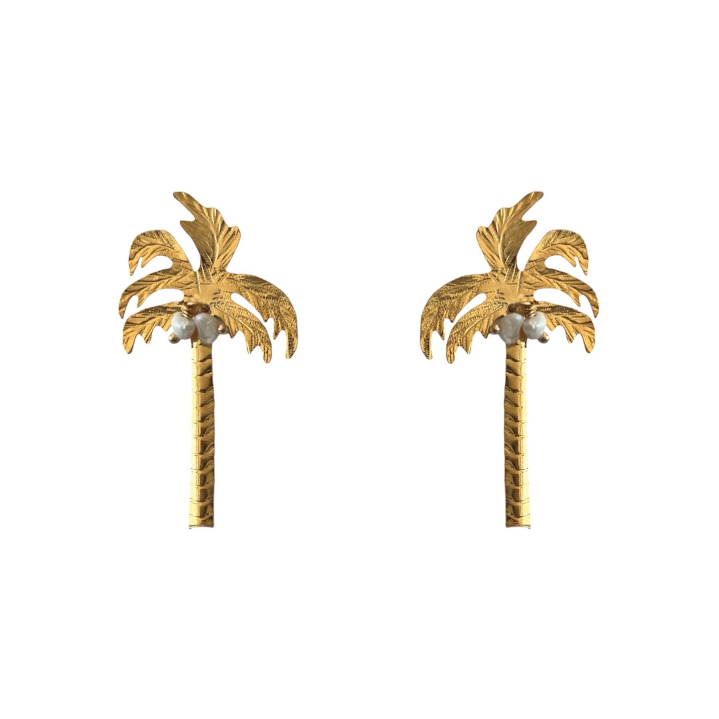 PALMERA PERLA
