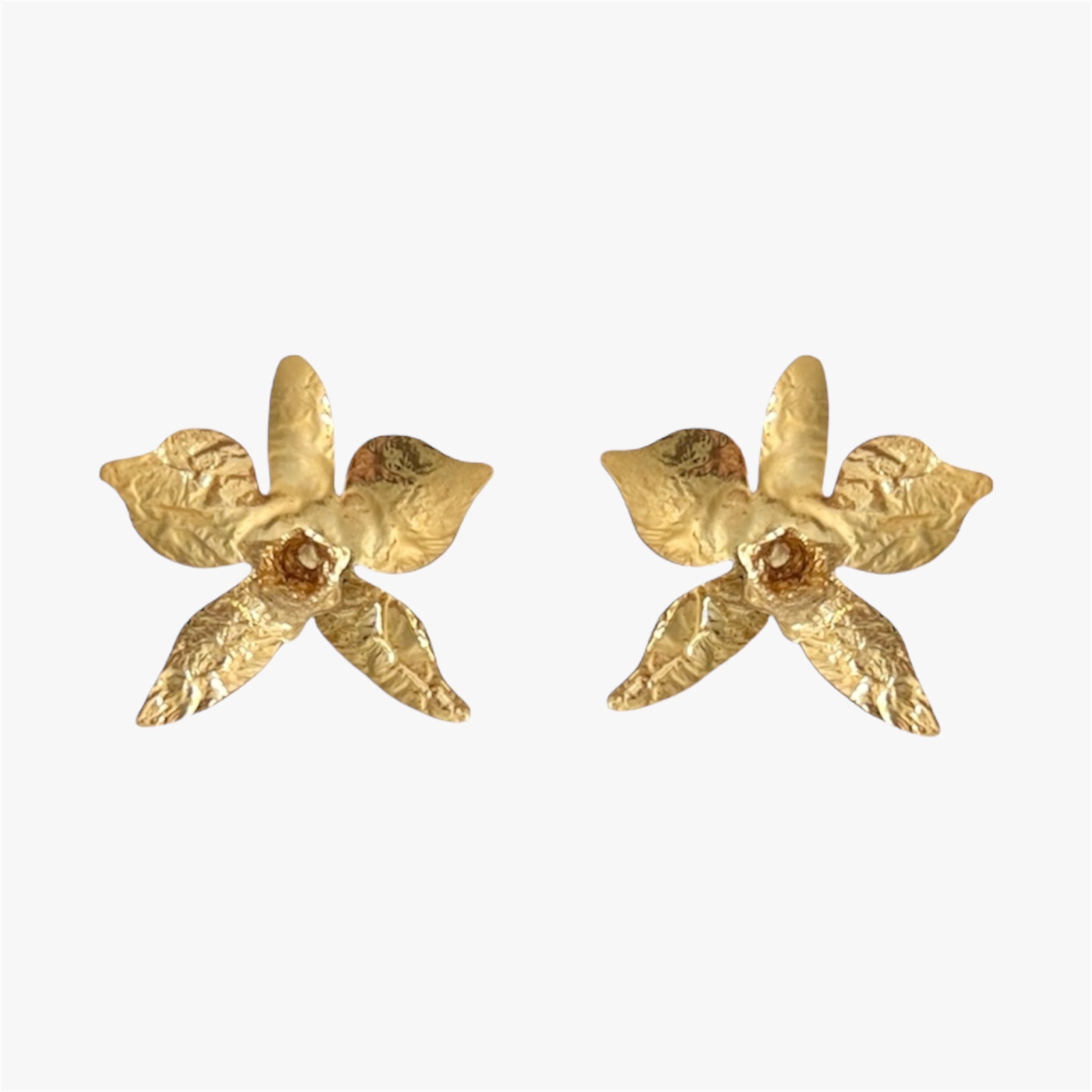 ORQUIDEA CAMBRIA MAXI