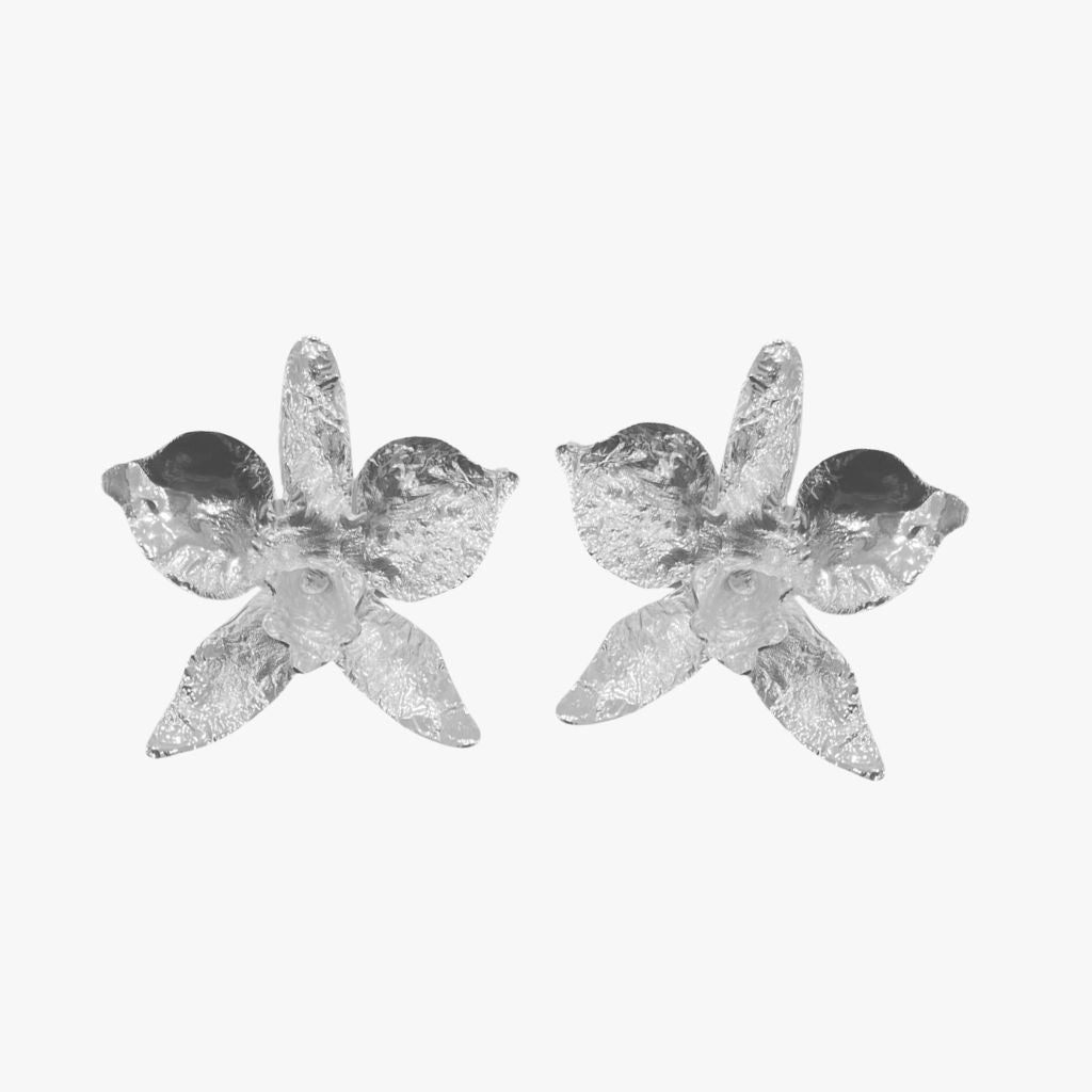 ORQUÍDEA CAMBRIA PLATA