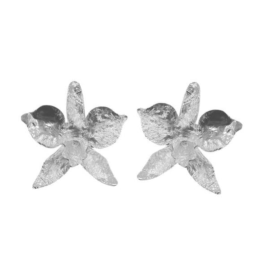 ORQUÍDEA CAMBRIA PLATA