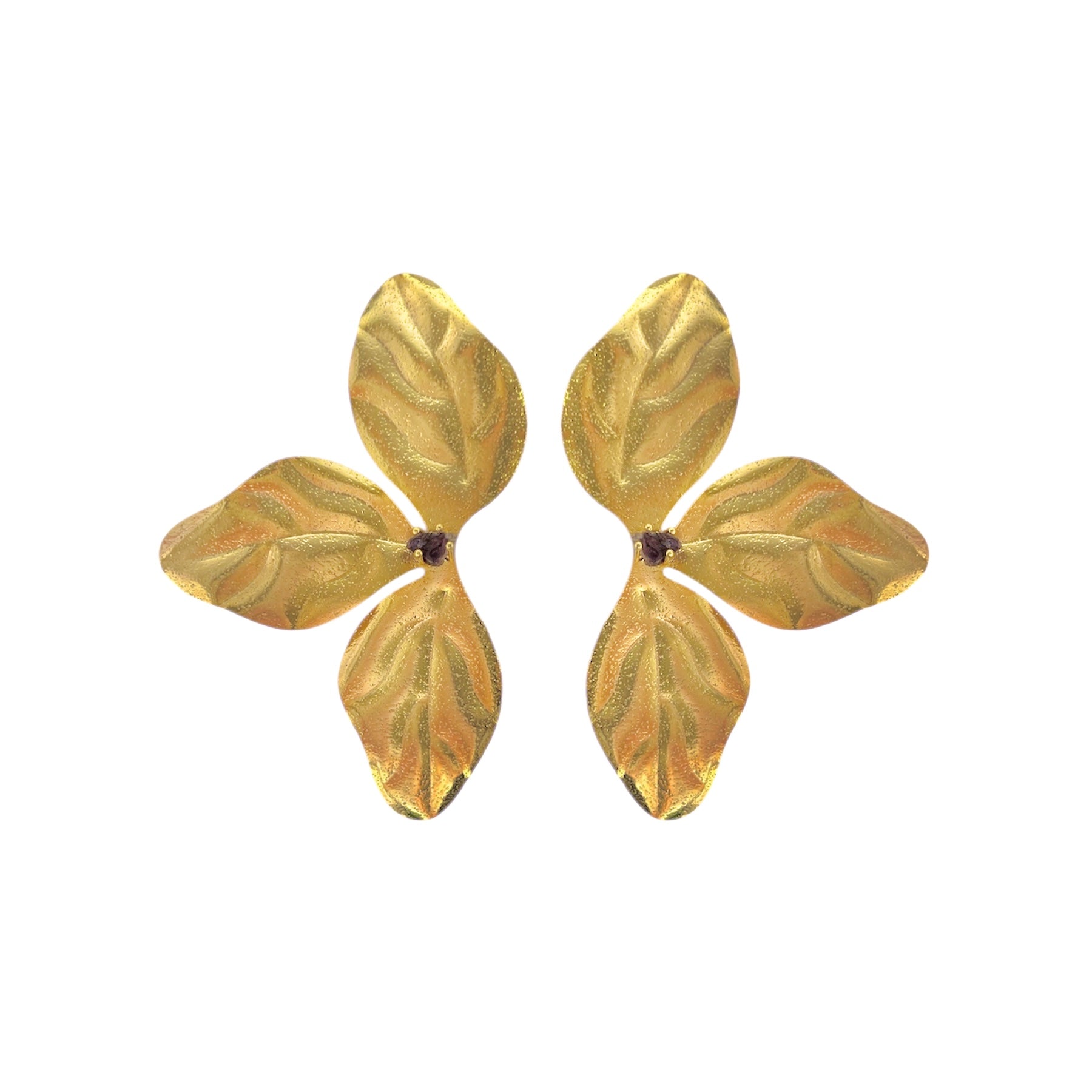 MEDIA ORQUIDEA