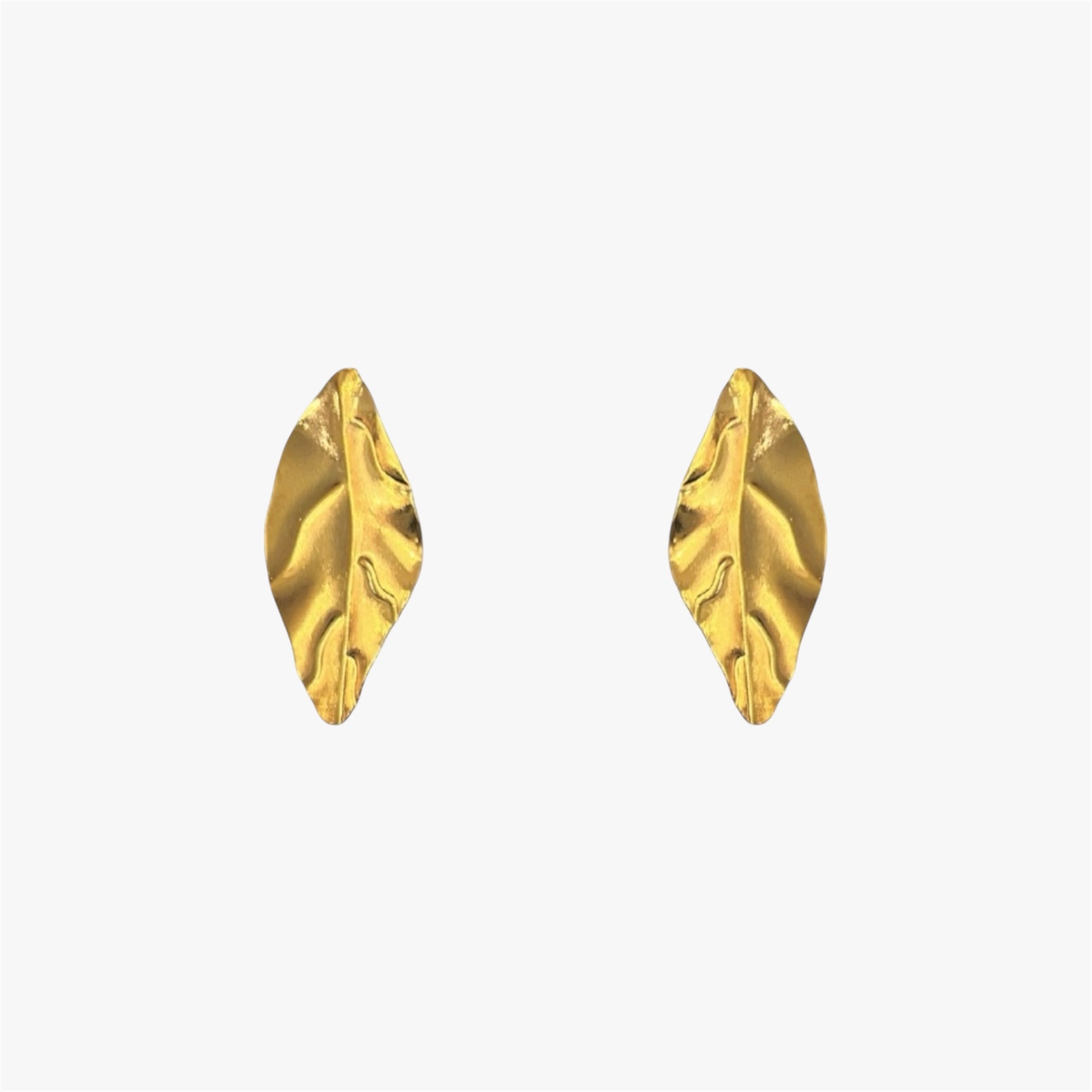 MALE HOJA