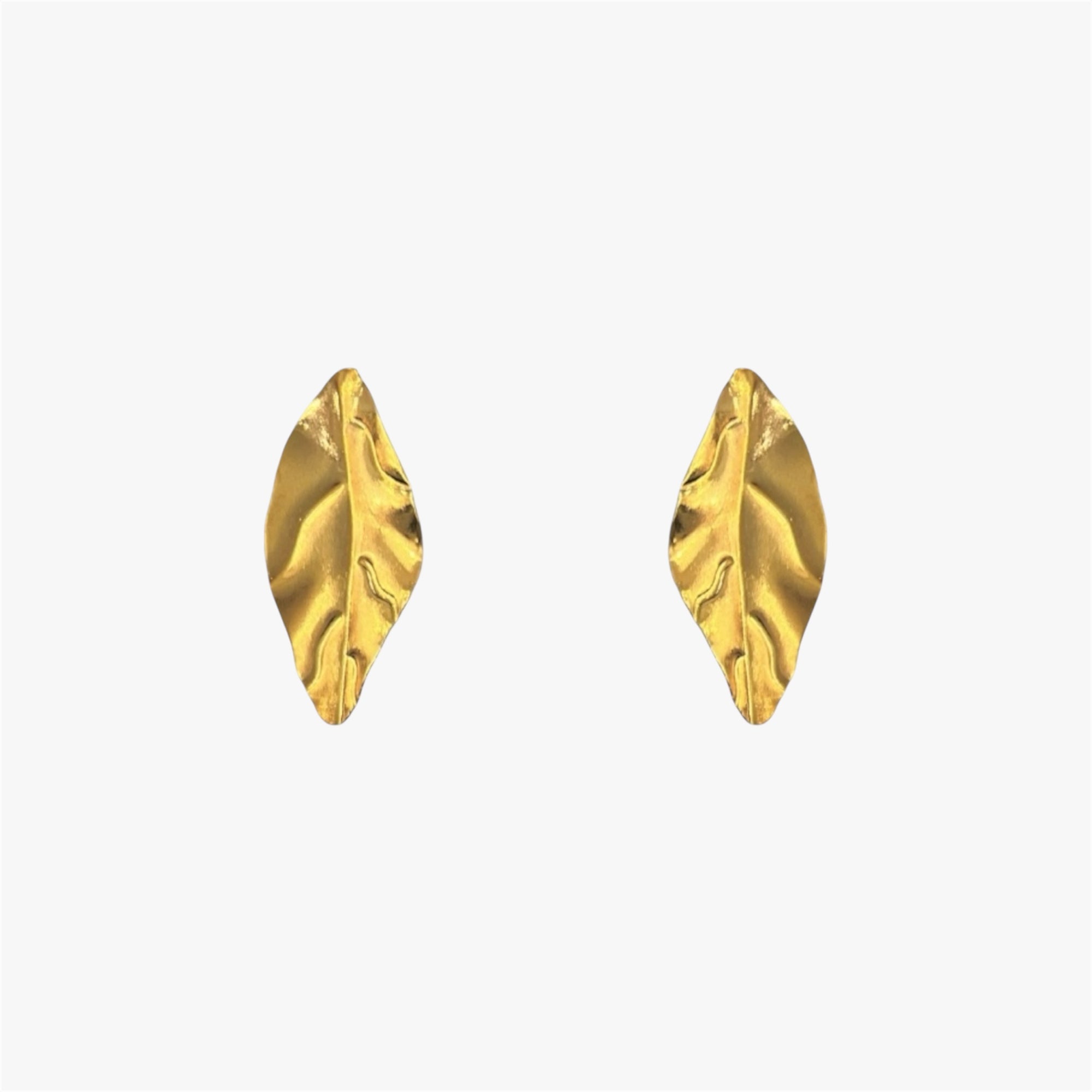 MALE HOJA