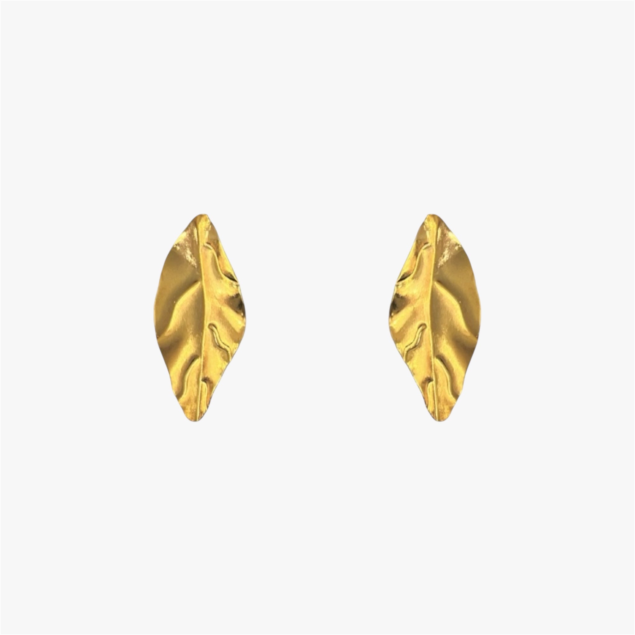 MALE HOJA