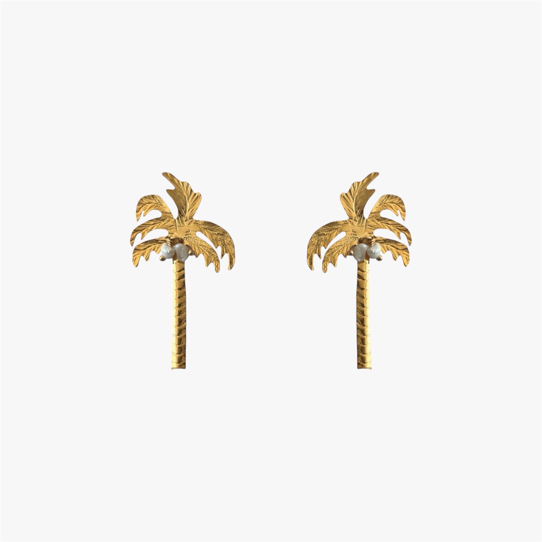 PALMERA PERLA